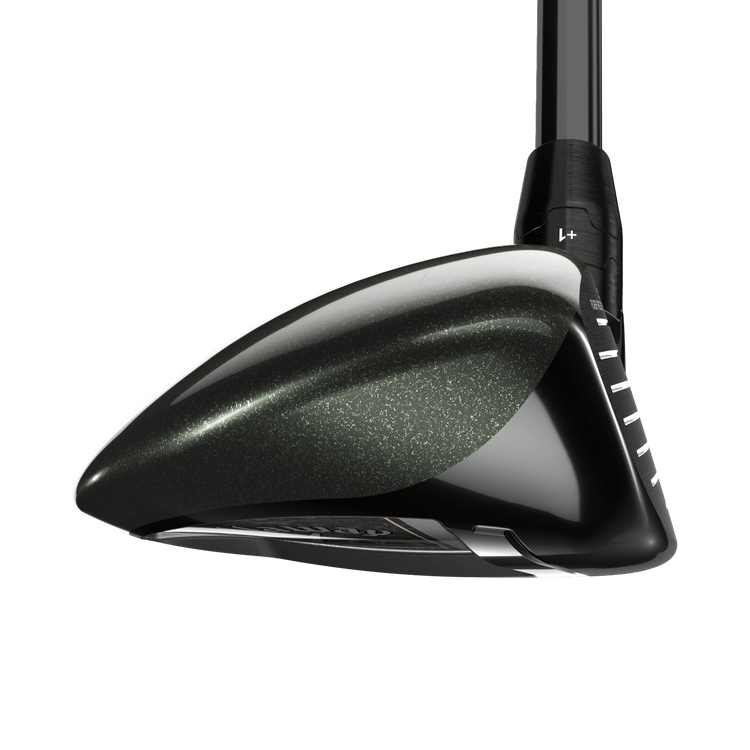 Great Big Bertha Hybrids - View 3