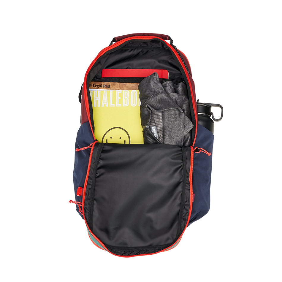 Ogio alpha backpack outlet review