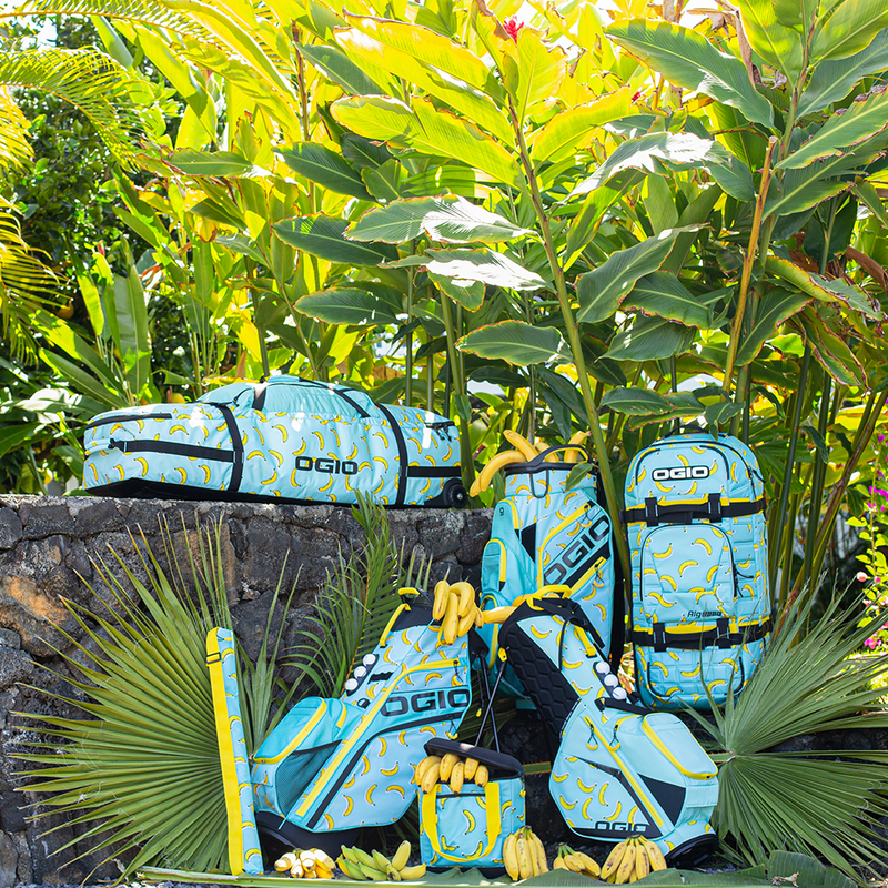 Ogio hotsell cooler bag