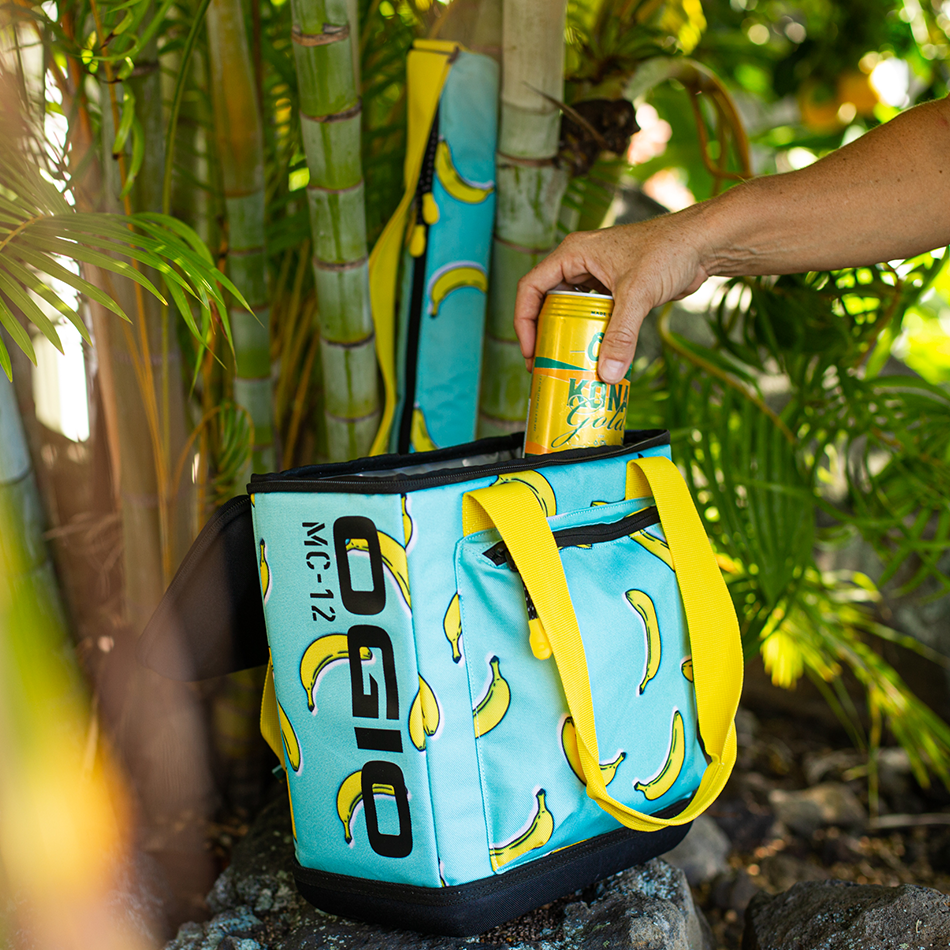 Soft 2025 lunch cooler