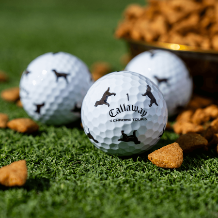 Chrome Tour Let the Big Dog Eat – Chocolate Lab Golf Balls