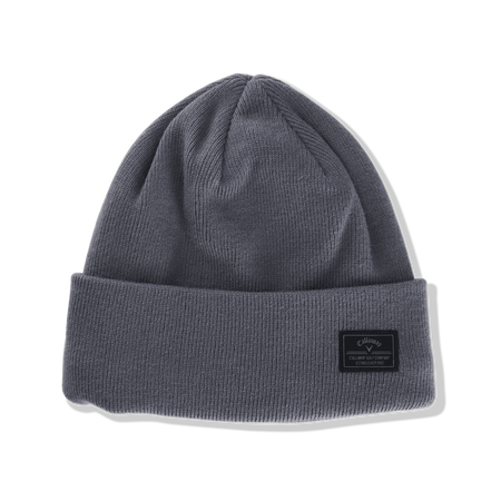 Winter Term Beanie