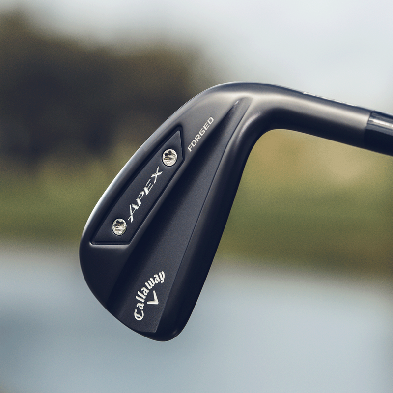 Apex Ai200 Black Shadow Irons - View 2