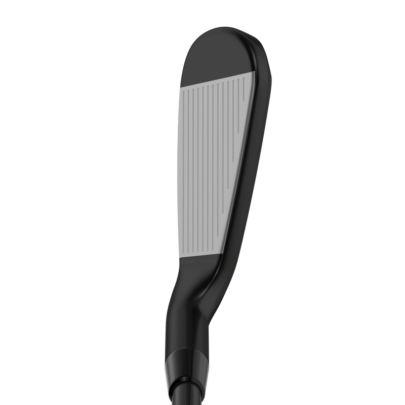 Apex Ai200 Black Shadow Irons - View 5