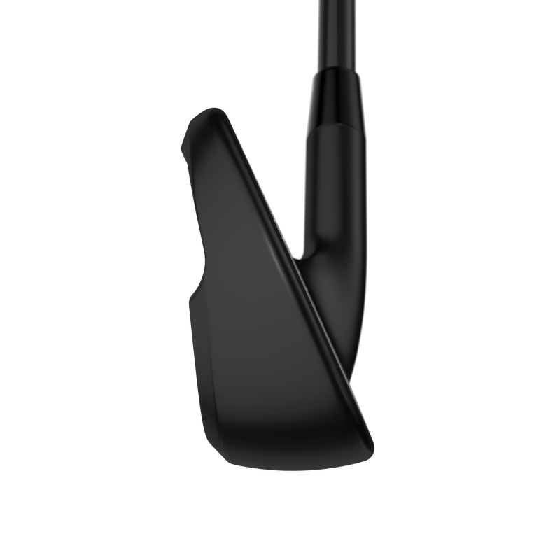 Apex Ai200 Black Shadow Irons - View 6
