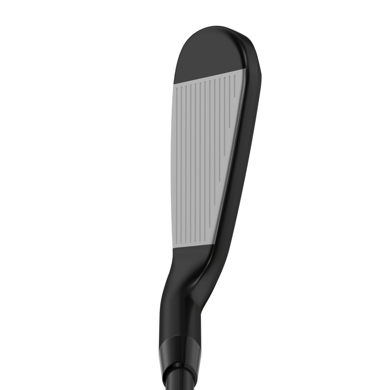 Apex Ai200 Black Shadow Irons - View 5