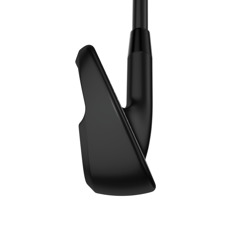 Apex Ai200 Black Shadow Irons - View 6