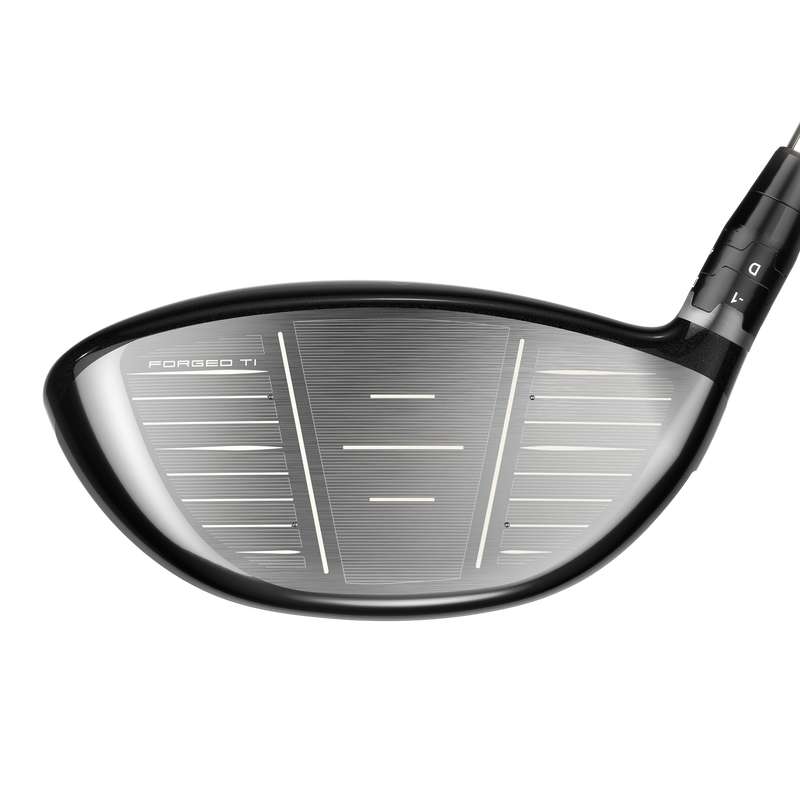 Big Bertha Driver - View 4