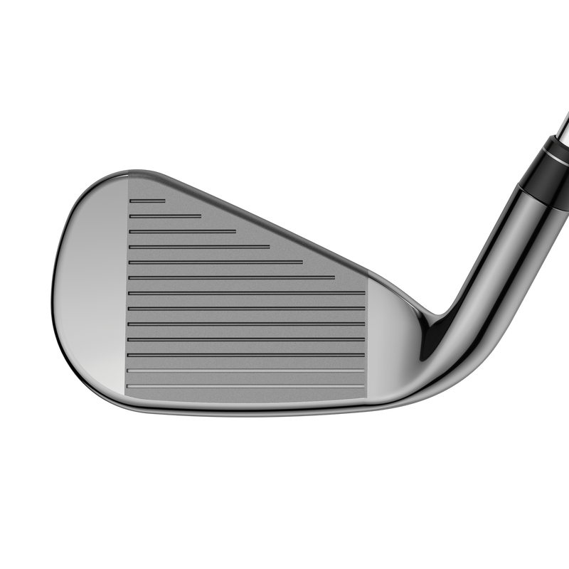 Big Bertha Irons - View 3