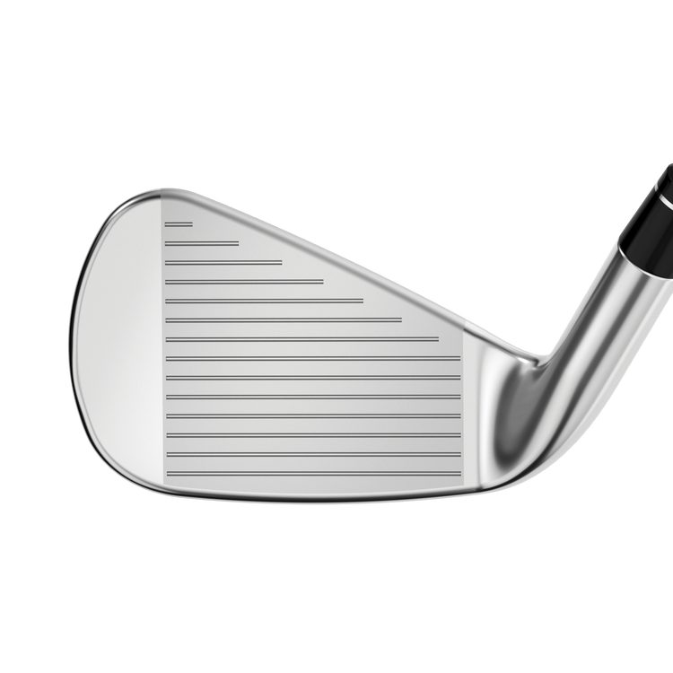 Apex DCB 21 Irons - View 3