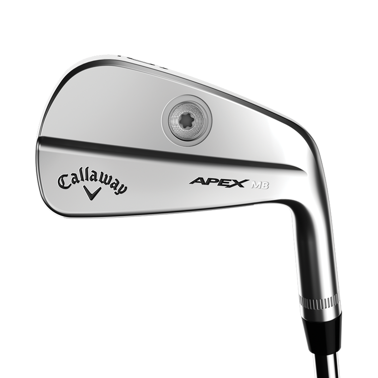 キャロウェイ APEX MB 2021 アイアンセット www.nabatours.com