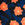 Navy Flower Party