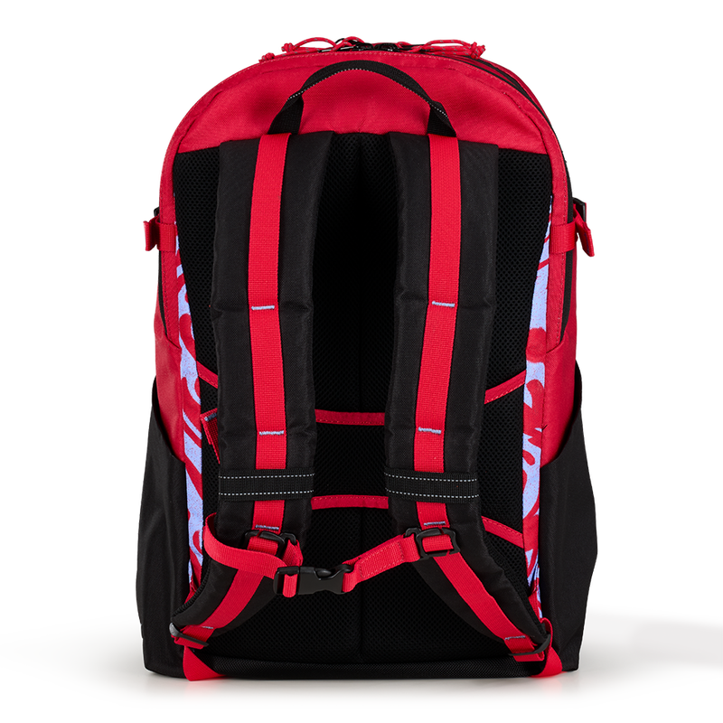 Sac à dos Alpha 20L - View 4