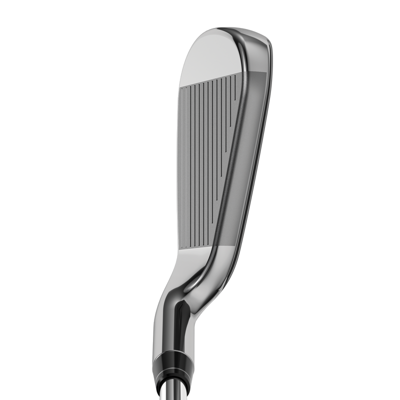 Fers Big Bertha - View 2