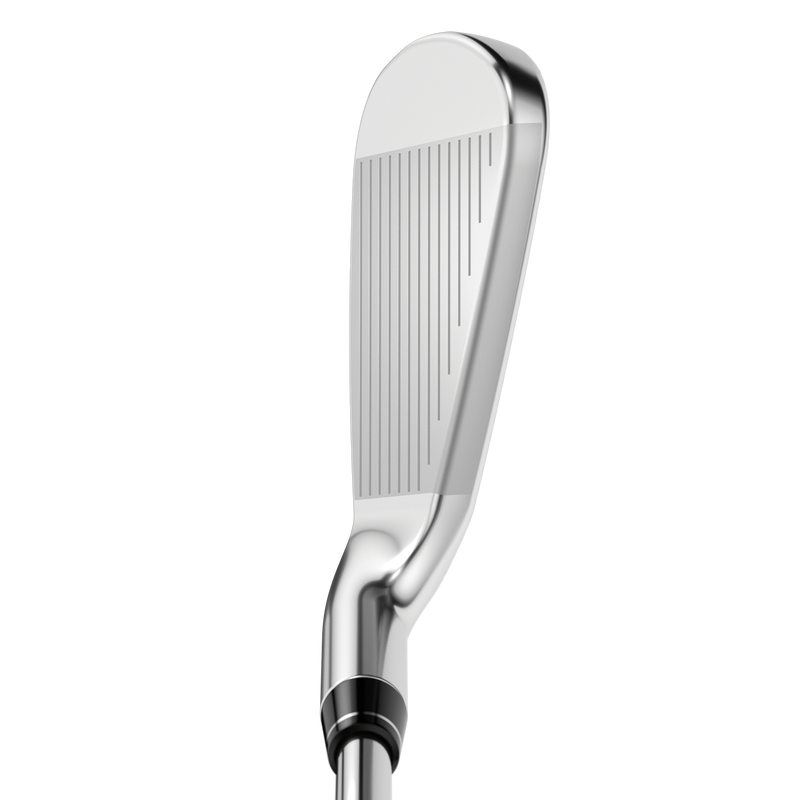 Apex DCB 21 Irons - View 2