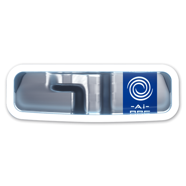 Ai-ONE 2-Ball CH Putter