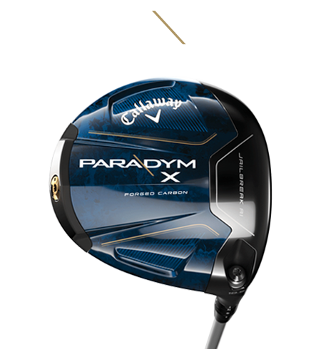 Paradym X
