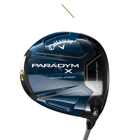 Paradym X