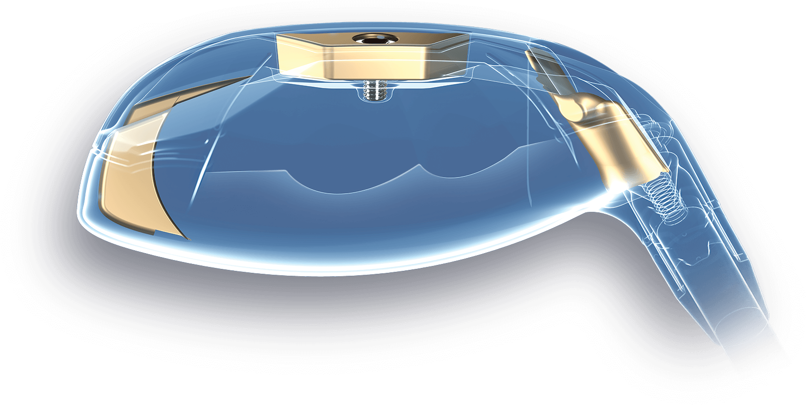 Paradym Logo