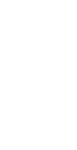 Path 3